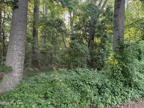 Lot 7 Boyd Park Drive Greenville NC 27858