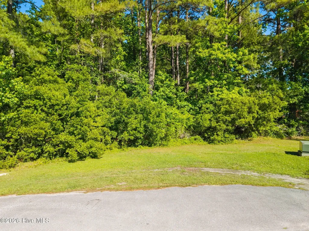 2160 Lake Butler Lane NW Longwood NC 28452