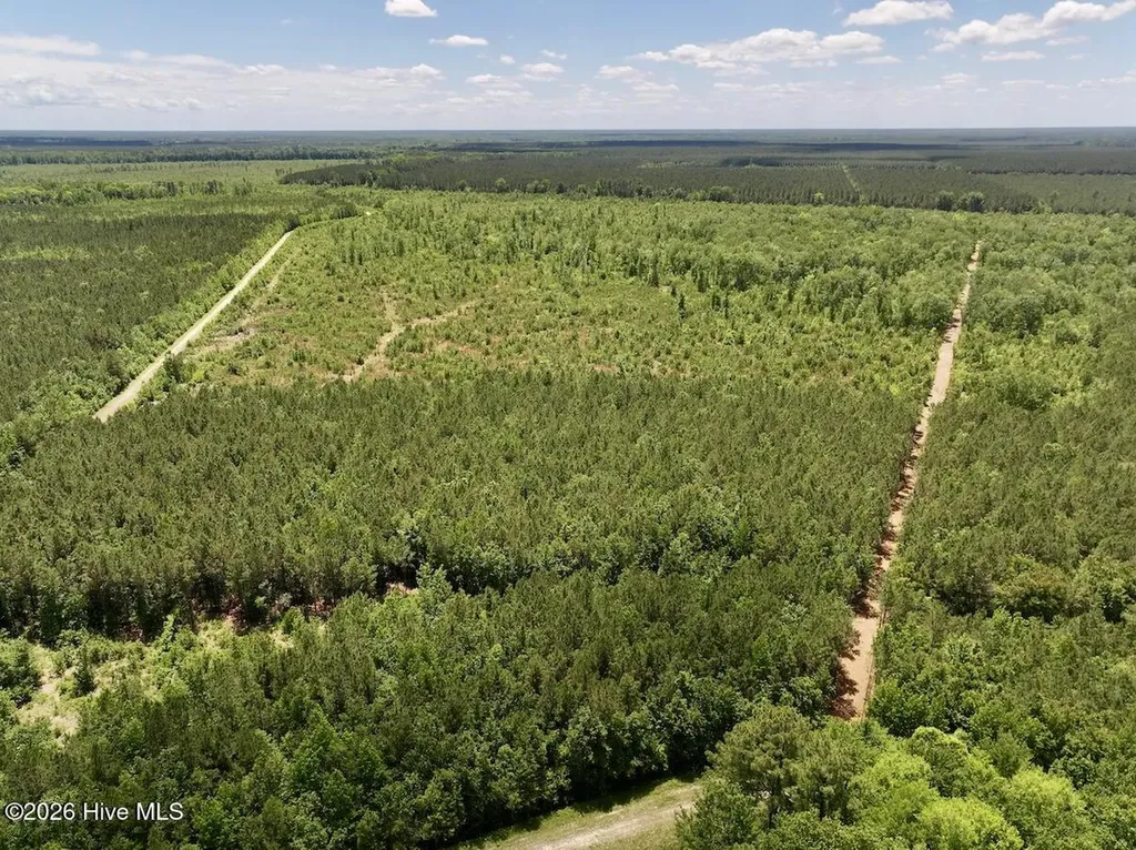 0 Guinea Mill Road Ernul NC 28527