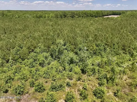 0 Guinea Mill Road Ernul NC 28527