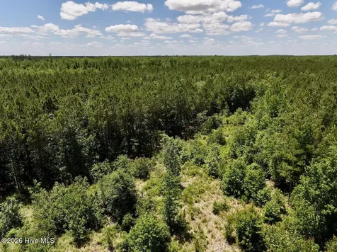 0 Guinea Mill Road Ernul NC 28527