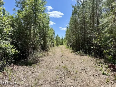 0 Guinea Mill Road Ernul NC 28527