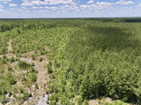 0 Guinea Mill Road Ernul NC 28527