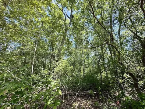 0 Guinea Mill Road Ernul NC 28527