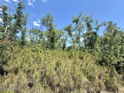 0 Guinea Mill Road Ernul NC 28527