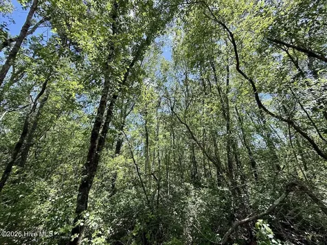 0 Guinea Mill Road Ernul NC 28527