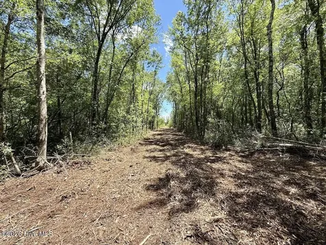 0 Guinea Mill Road Ernul NC 28527