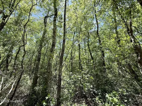0 Guinea Mill Road Ernul NC 28527