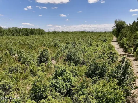 0 Guinea Mill Road Ernul NC 28527