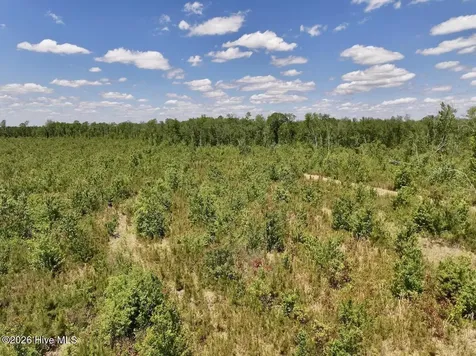 0 Guinea Mill Road Ernul NC 28527