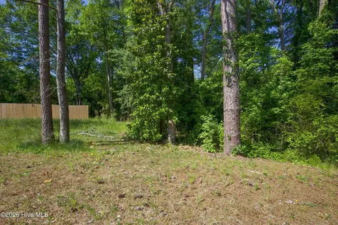 381 James Street Vass NC 28394