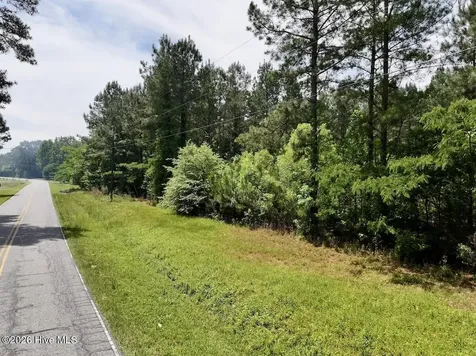 0 Skeeter Pond Road Grifton NC 28530