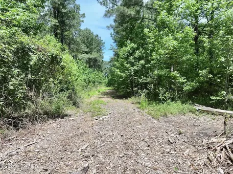 0 Skeeter Pond Road Grifton NC 28530