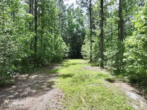 0 Skeeter Pond Road Grifton NC 28530