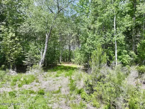 0 Skeeter Pond Road Grifton NC 28530