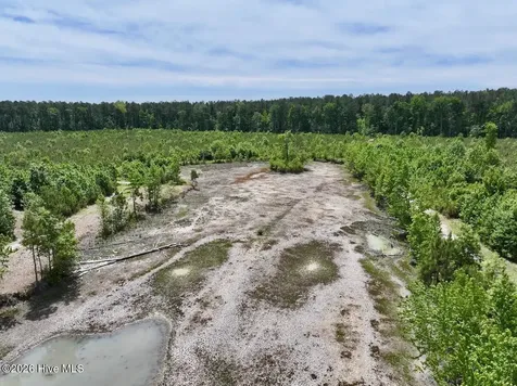 0 Skeeter Pond Road Grifton NC 28530