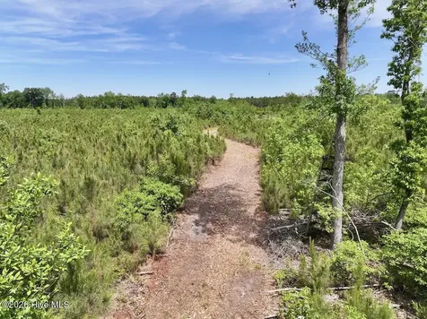 0 Skeeter Pond Road Grifton NC 28530