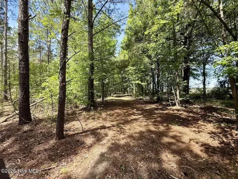 0 Skeeter Pond Road Grifton NC 28530