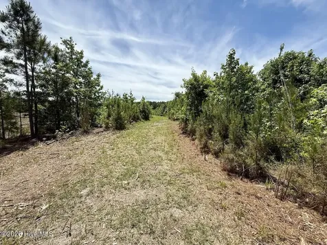 0 Skeeter Pond Road Grifton NC 28530