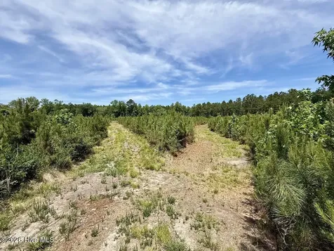 0 Skeeter Pond Road Grifton NC 28530