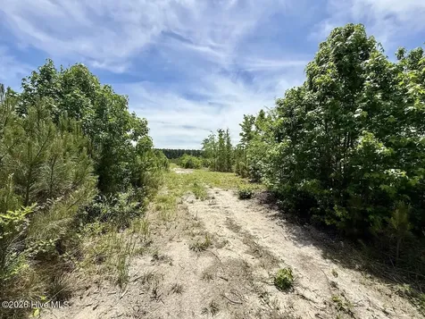 0 Skeeter Pond Road Grifton NC 28530