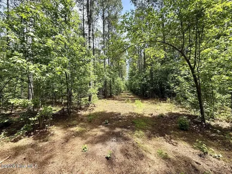 0 Skeeter Pond Road Grifton NC 28530