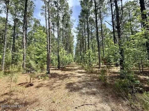 0 Skeeter Pond Road Grifton NC 28530