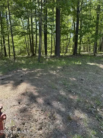 F-11 Mattaponi Drive Hertford NC 27944