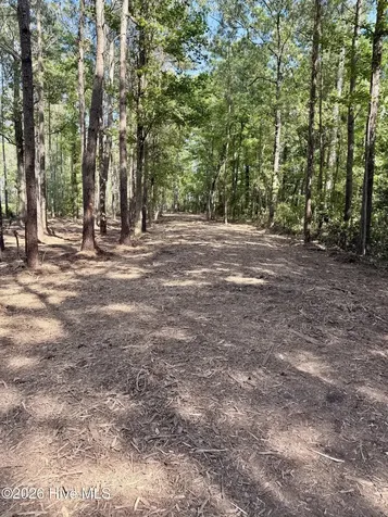 0 Seaview Court Bath NC 27808