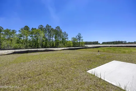 1095 Hanson Drive Leland NC 28451