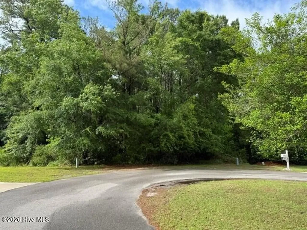 22 W High Bluff Drive Hampstead NC 28443