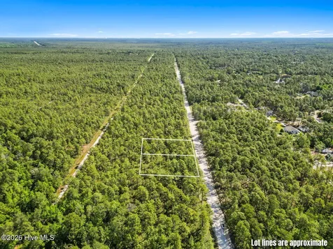 Lot 6 Juniper Road Boiling Spring Lakes NC 28461