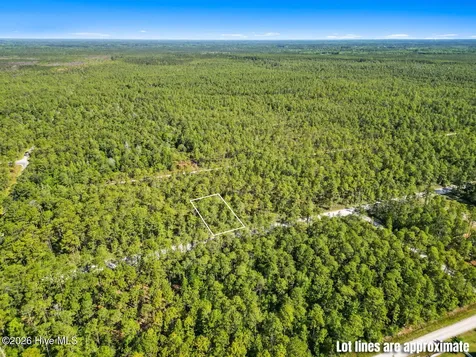 Lot 6 Juniper Road Boiling Spring Lakes NC 28461