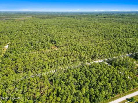 Lot 7 Juniper Road Boiling Spring Lakes NC 28461