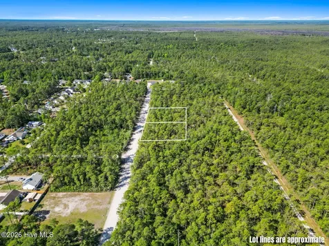 Lot 7 Juniper Road Boiling Spring Lakes NC 28461