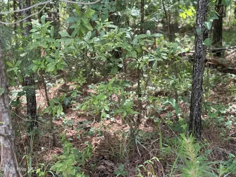 13 Shooting Match Lane North Augusta SC 29860