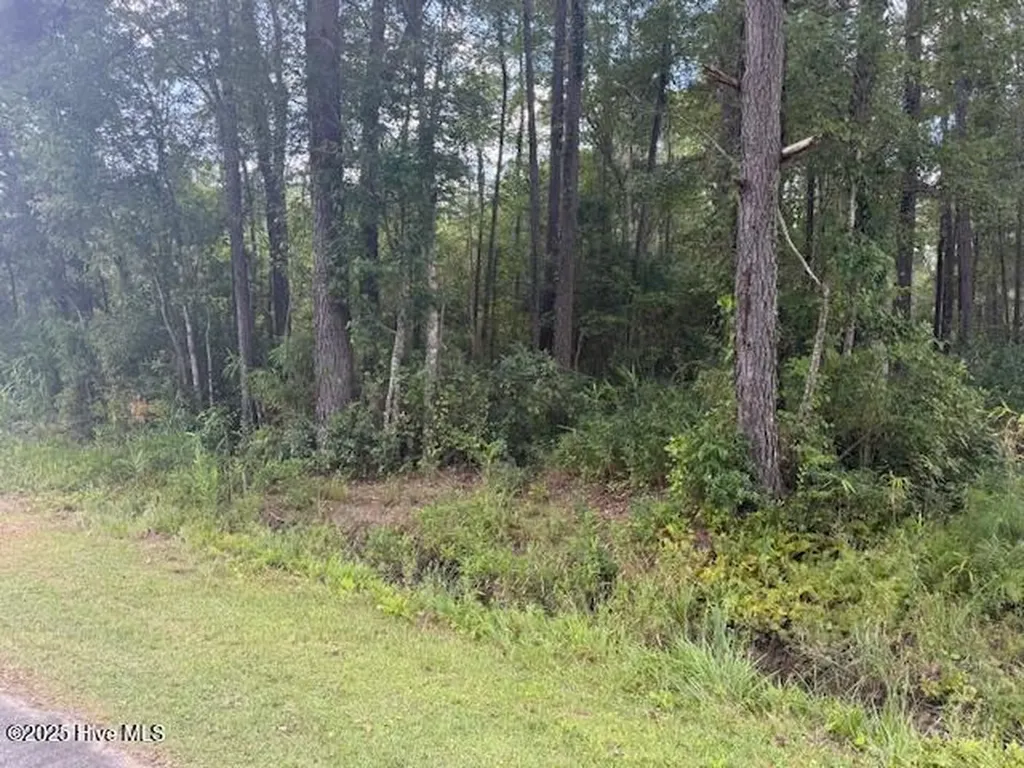 2539 Chauncey Town Road Lake Waccamaw NC 28450