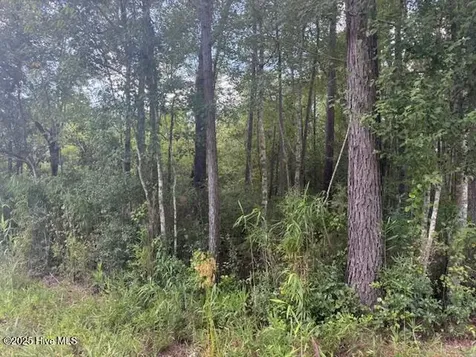 2539 Chauncey Town Road Lake Waccamaw NC 28450