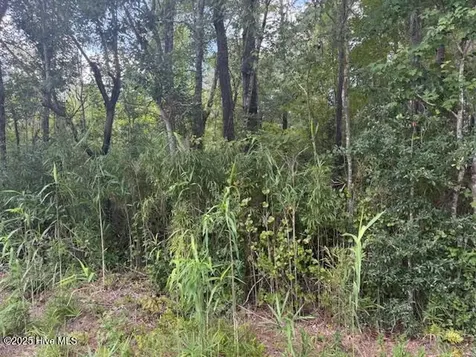2539 Chauncey Town Road Lake Waccamaw NC 28450