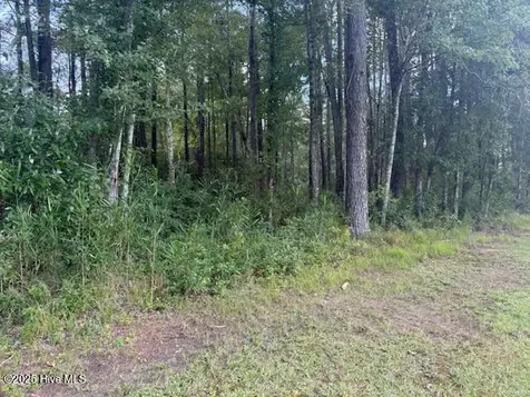 2539 Chauncey Town Road Lake Waccamaw NC 28450