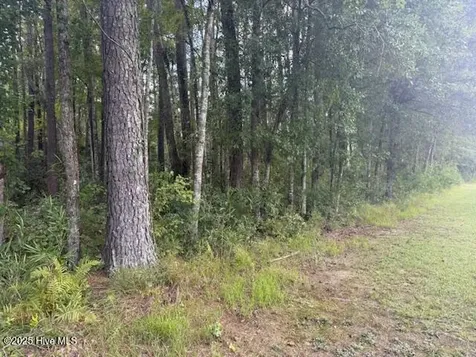 2539 Chauncey Town Road Lake Waccamaw NC 28450