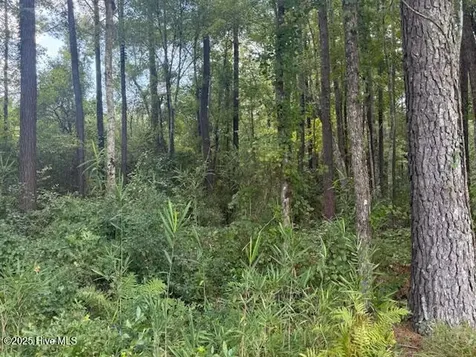 2539 Chauncey Town Road Lake Waccamaw NC 28450