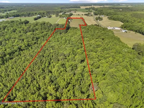 127 Nicodemus Kornegay Lane Albertson NC 28508