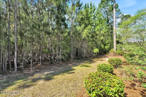 1347 Still Bluff Lane Leland NC 28451