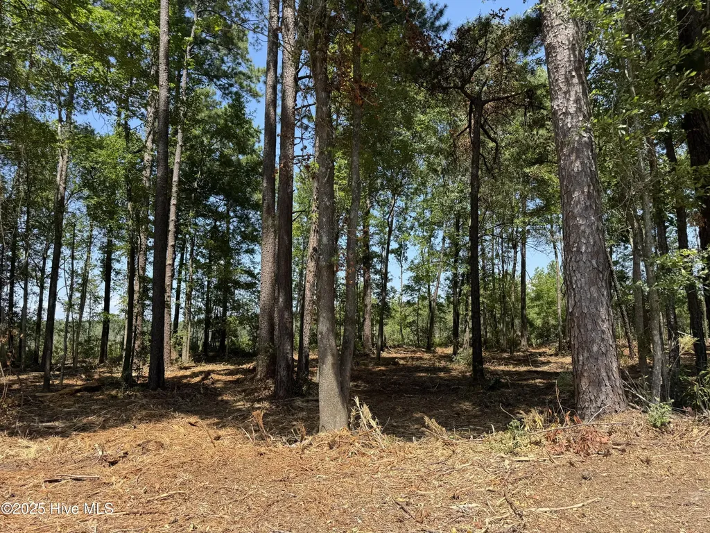 Lot 5 Near 4102 Swamp Fox (Lot 5) Highway W Tabor City NC 28463
