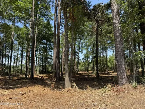 Lot 5 Near 4102 Swamp Fox (Lot 5) Highway W Tabor City NC 28463