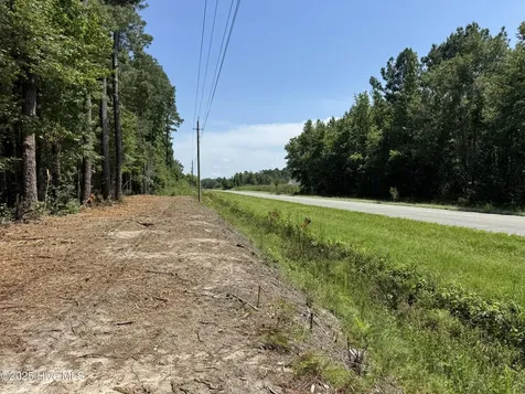 Lot 5 Near 4102 Swamp Fox (Lot 5) Highway W Tabor City NC 28463