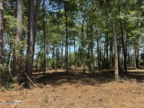 Lot 5 Near 4102 Swamp Fox (Lot 5) Highway W Tabor City NC 28463