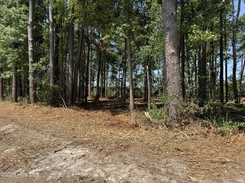 Lot 5 Near 4102 Swamp Fox (Lot 5) Highway W Tabor City NC 28463