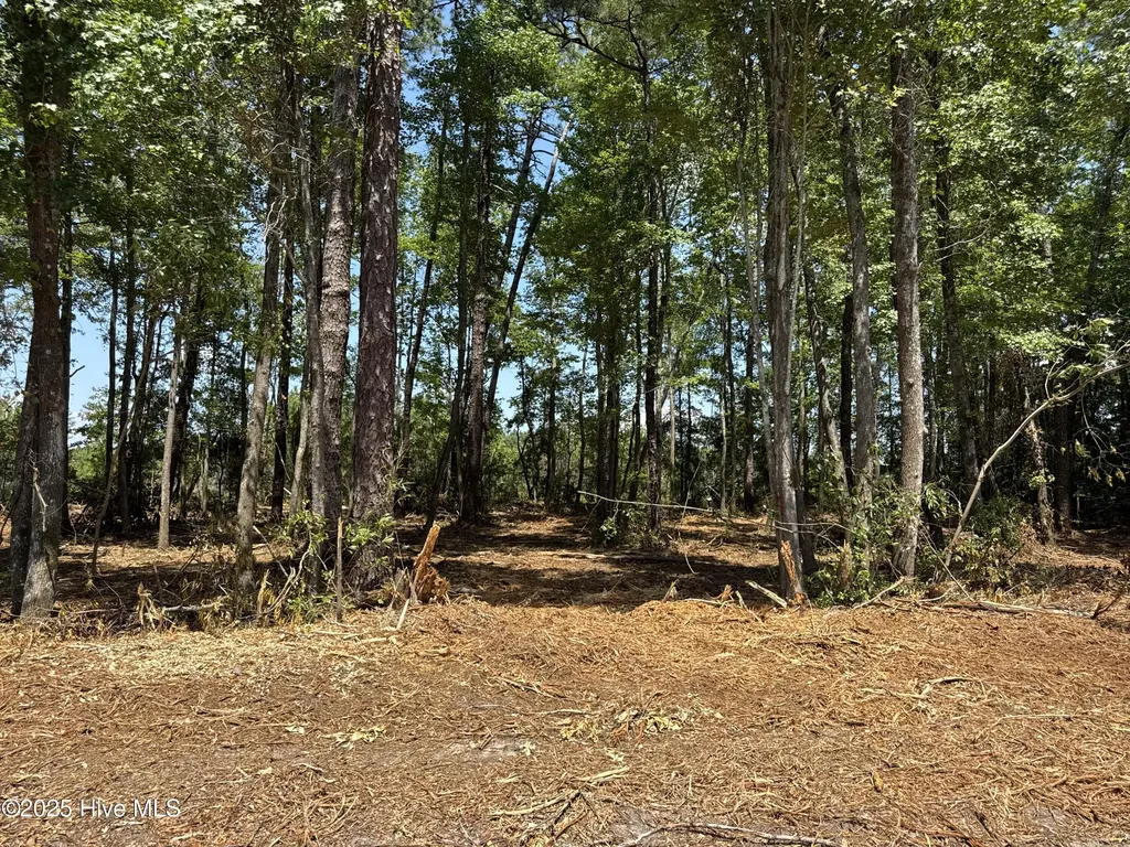 Lot 4 Near 4102 Swamp Fox (Lot 4) Highway W Tabor City NC 28463